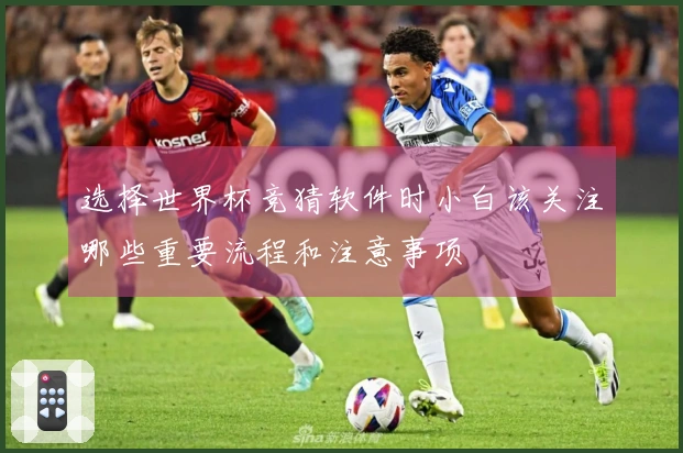 选择世界杯竞猜软件时小白该关注哪些重要流程和注意事项
