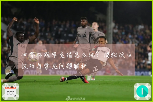 世界杯冠军竞猜怎么玩？揭秘投注技巧与常见问题解析