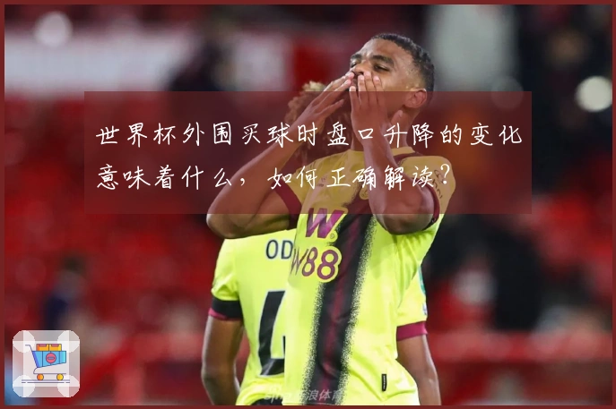 世界杯外围买球时盘口升降的变化意味着什么，如何正确解读？