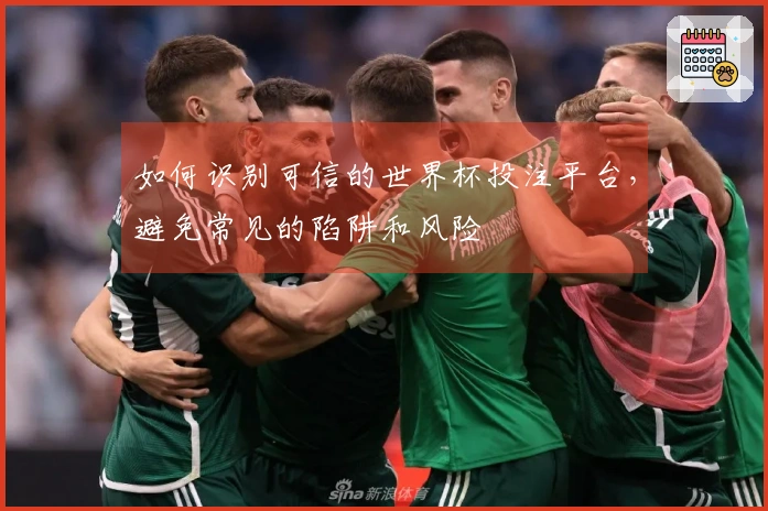 如何识别可信的世界杯投注平台，避免常见的陷阱和风险