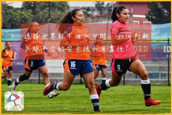选择世界杯下注入口时，如何判断买球平台的安全性和可靠性？