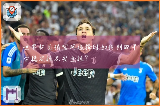 世界杯竞猜官网选择时如何判断平台稳定性及安全性？