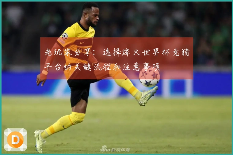 老玩家分享：选择烽火世界杯竞猜平台的关键流程和注意事项