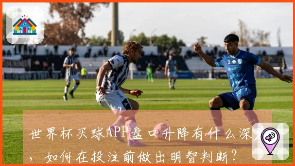 世界杯买球APP盘口升降有什么深意，如何在投注前做出明智判断？