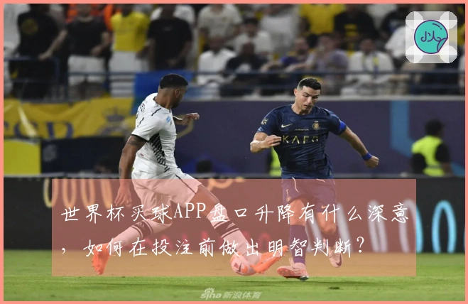 世界杯买球APP盘口升降有什么深意，如何在投注前做出明智判断？