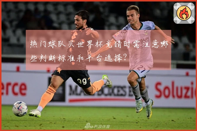 热门球队买世界杯竞猜时需注意哪些判断标准和平台选择？