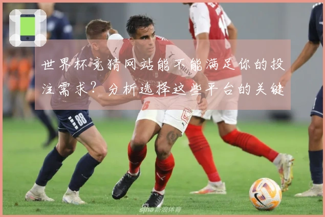 世界杯竞猜网站能不能满足你的投注需求？分析选择这些平台的关键要素