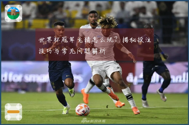 世界杯冠军竞猜怎么玩?揭秘投注技巧与常见问题解析