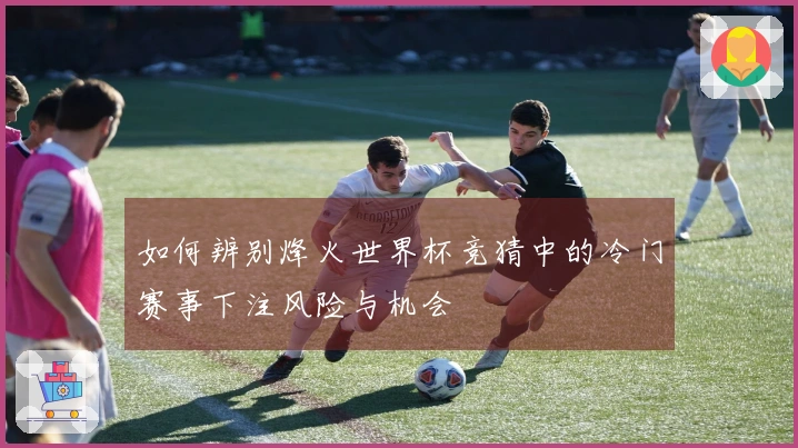 如何辨别烽火世界杯竞猜中的冷门赛事下注风险与机会