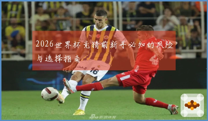 2026世界杯竞猜前新手必知的风险与选择指南