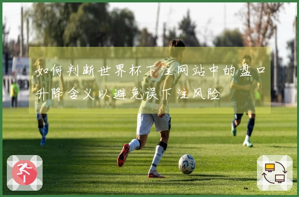 如何判断世界杯下注网站中的盘口升降含义以避免误下注风险