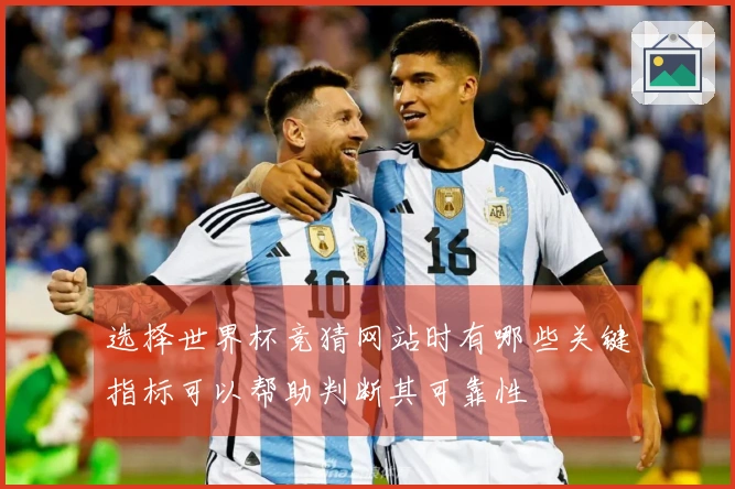 选择世界杯竞猜网站时有哪些关键指标可以帮助判断其可靠性