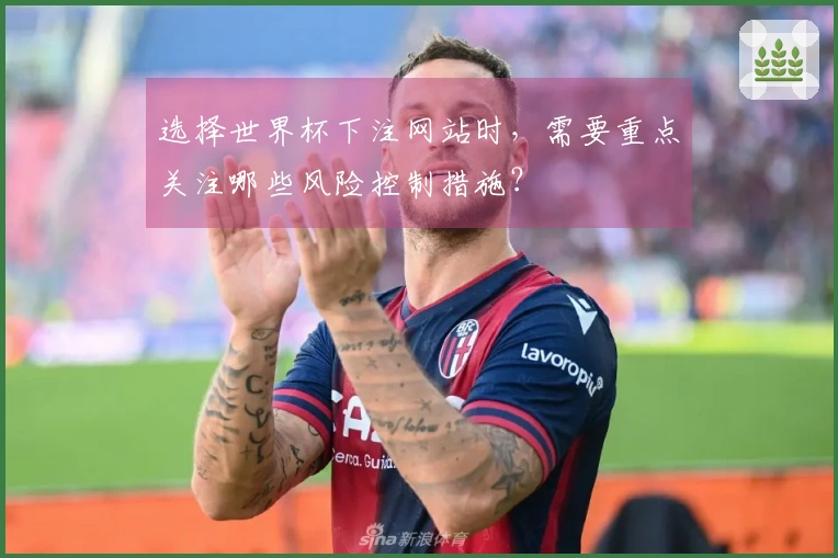 选择世界杯下注网站时，需要重点关注哪些风险控制措施？
