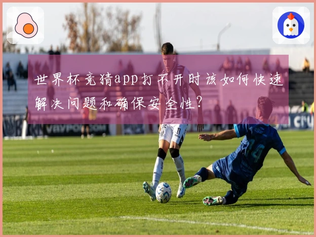世界杯竞猜app打不开时该如何快速解决问题和确保安全性？