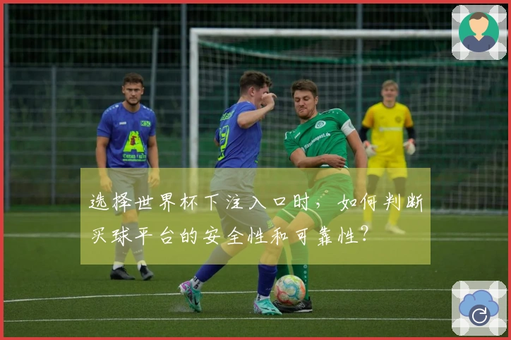 选择世界杯下注入口时，如何判断买球平台的安全性和可靠性？