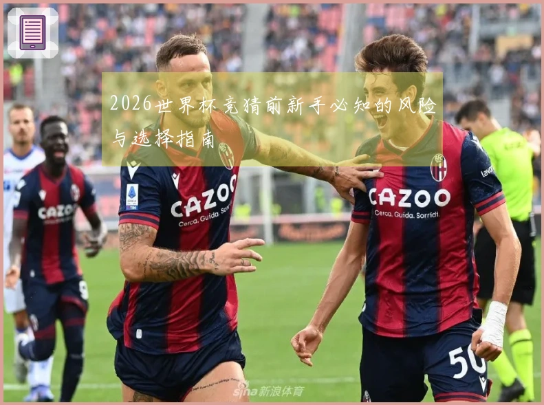 2026世界杯竞猜前新手必知的风险与选择指南
