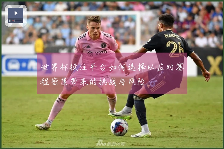 世界杯投注平台如何选择以应对赛程密集带来的挑战与风险