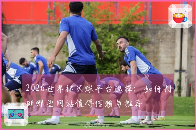 2026世界杯买球平台选择：如何判断哪些网站值得信赖与推荐