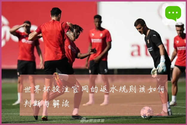 世界杯投注官网的返水规则该如何判断与解读