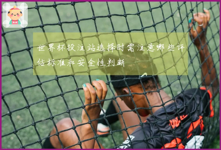 世界杯投注站选择时需注意哪些评估标准和安全性判断