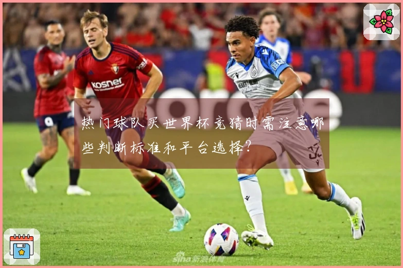 热门球队买世界杯竞猜时需注意哪些判断标准和平台选择？