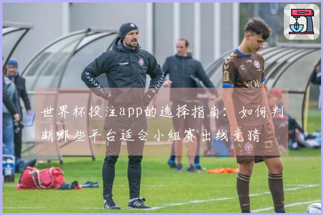 世界杯投注app的选择指南：如何判断哪些平台适合小组赛出线竞猜