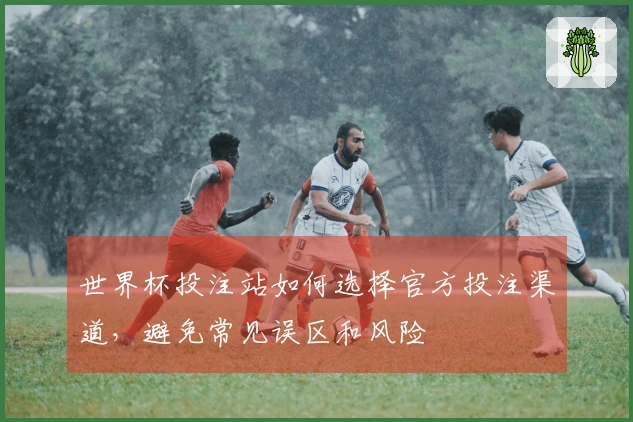 世界杯投注站如何选择官方投注渠道，避免常见误区和风险