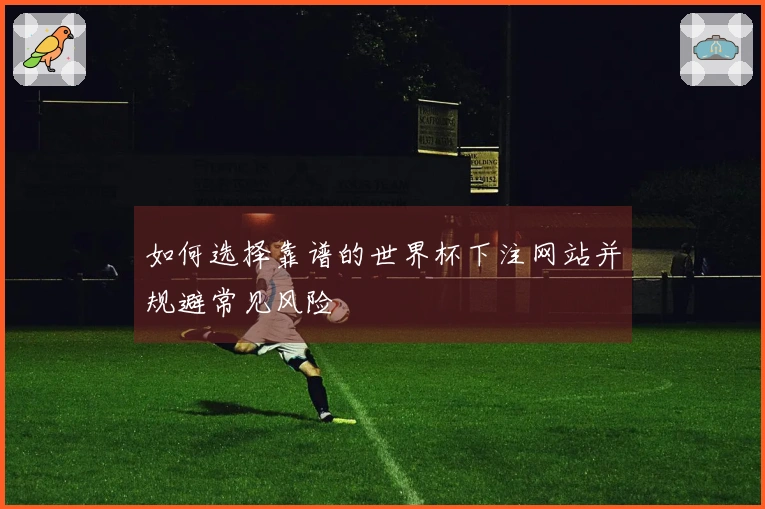 如何选择靠谱的世界杯下注网站并规避常见风险