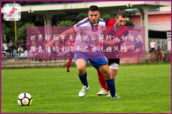 世界杯冠军竞猜玩法解析:如何选择靠谱的竞猜平台并规避风险