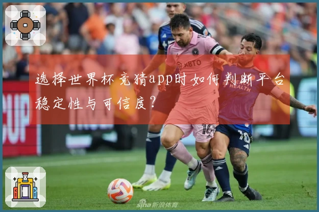 选择世界杯竞猜app时如何判断平台稳定性与可信度？