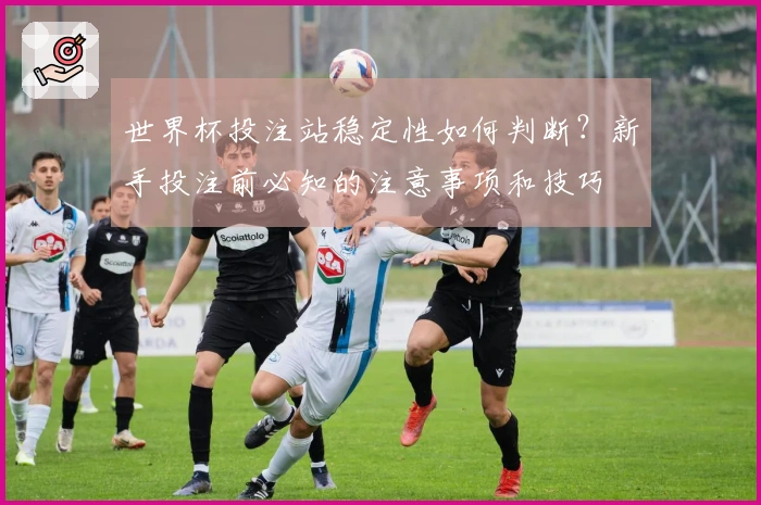 世界杯投注站稳定性如何判断？新手投注前必知的注意事项和技巧